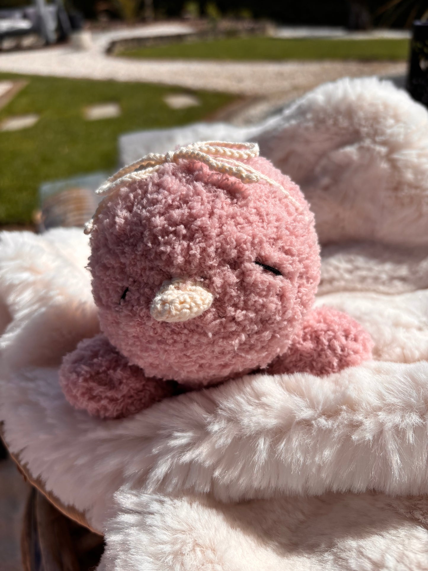 Pinkie das Küken ᥫ᭡