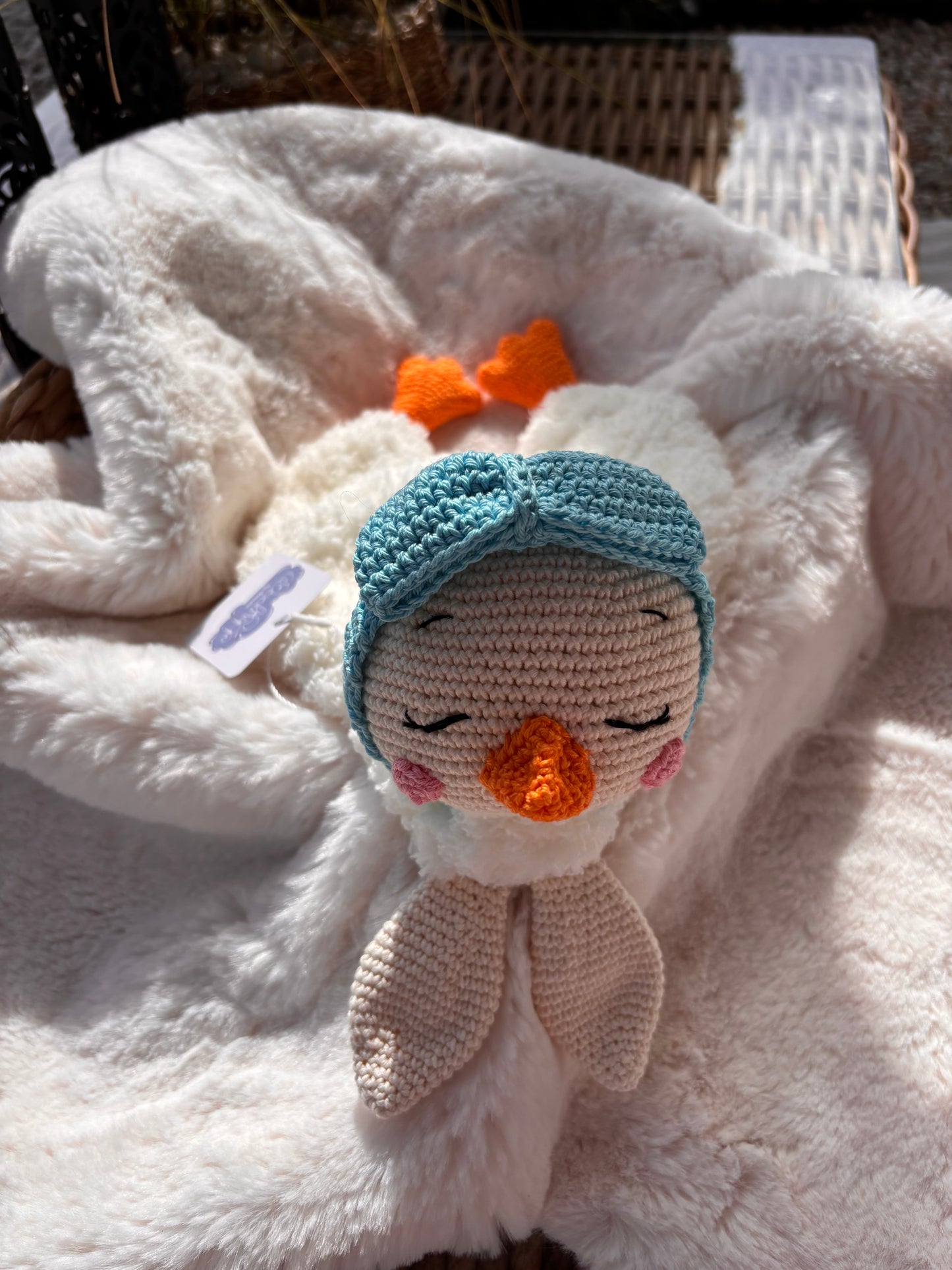 Gia die Gans ᥫ᭡
