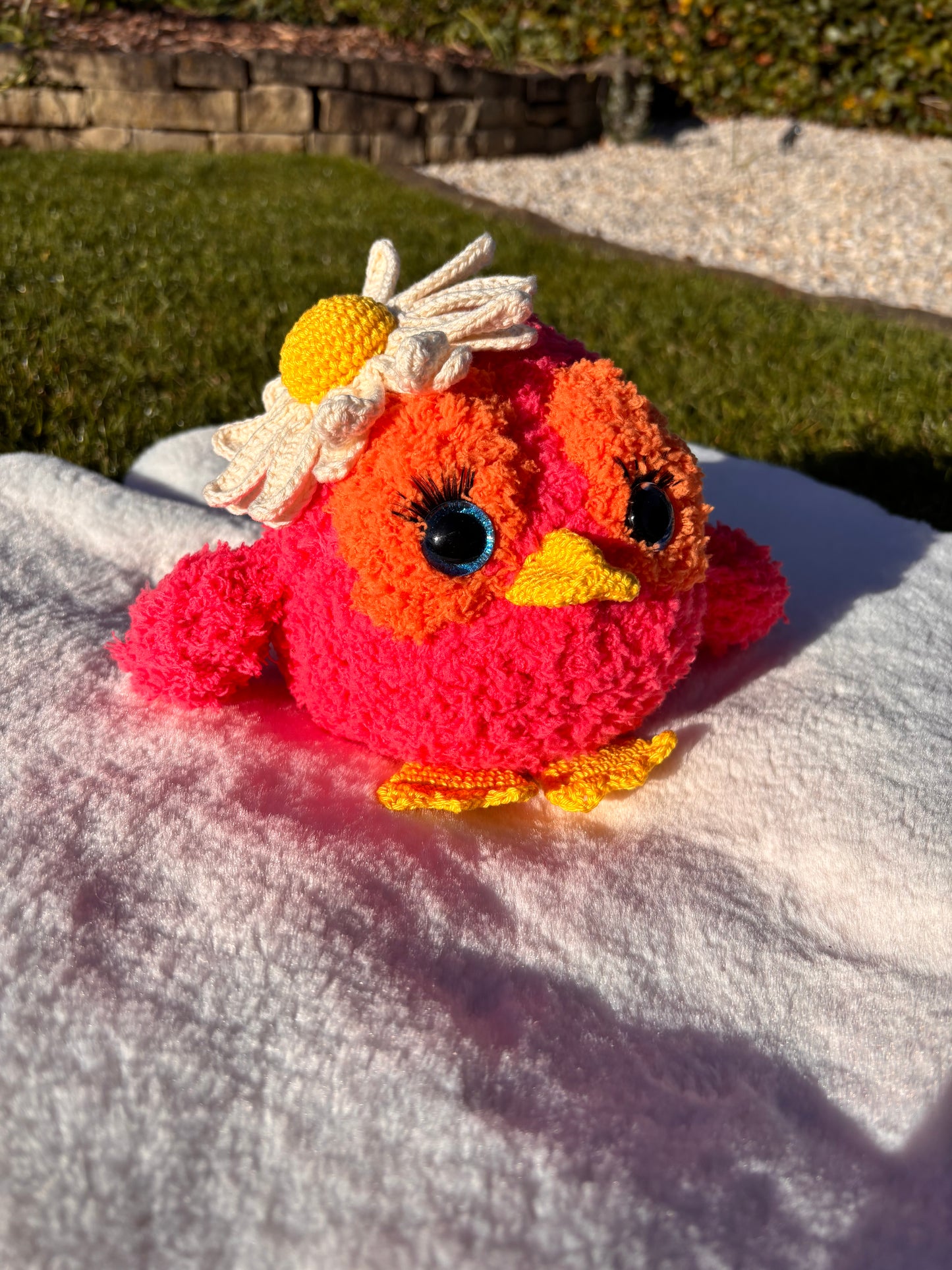 Sunny der Vogel ᥫ᭡